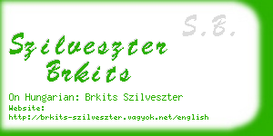 szilveszter brkits business card